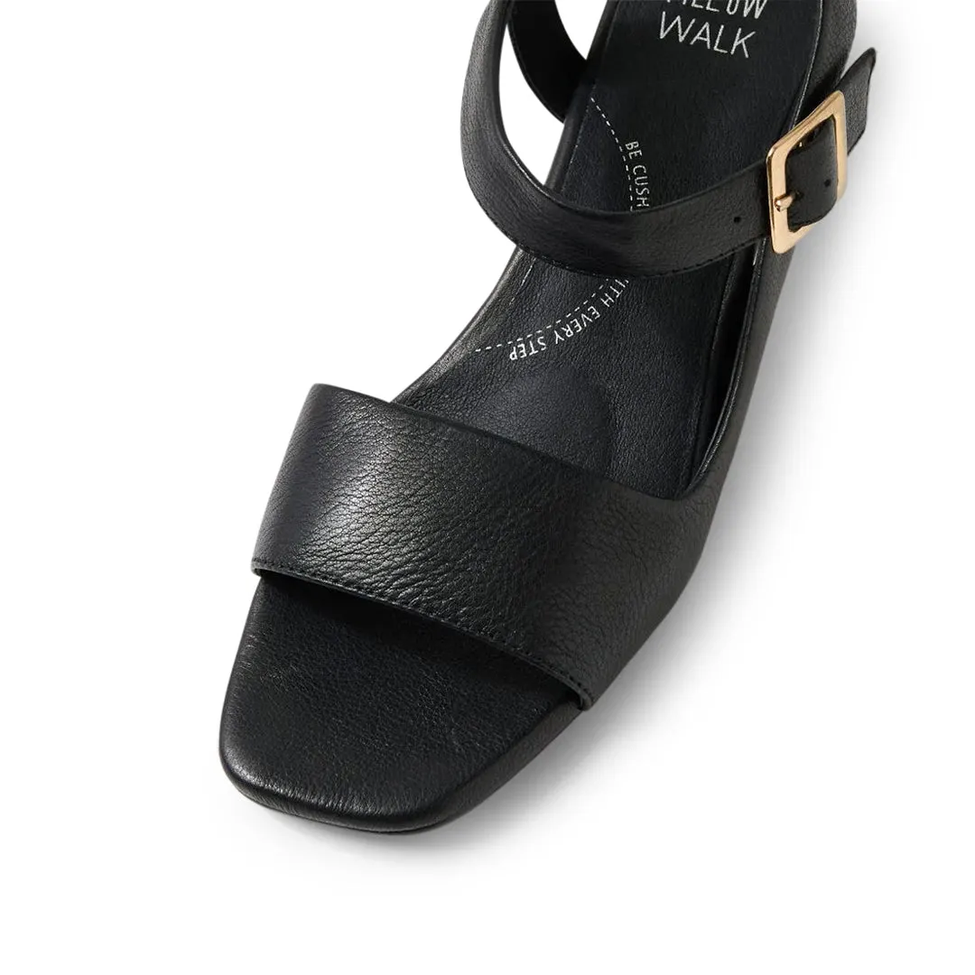 Cenda W Black