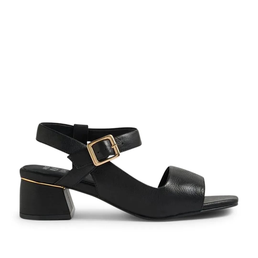 Cenda W Black